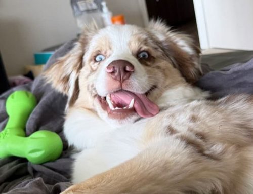 PATIENT SPOTLIGHT: OK was not okay